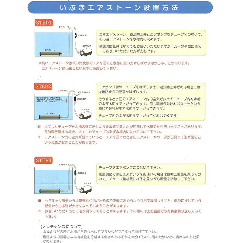 【新品】 いぶきエアストーン 50φ×300#100 3個 【SK2904864243】(15122円)