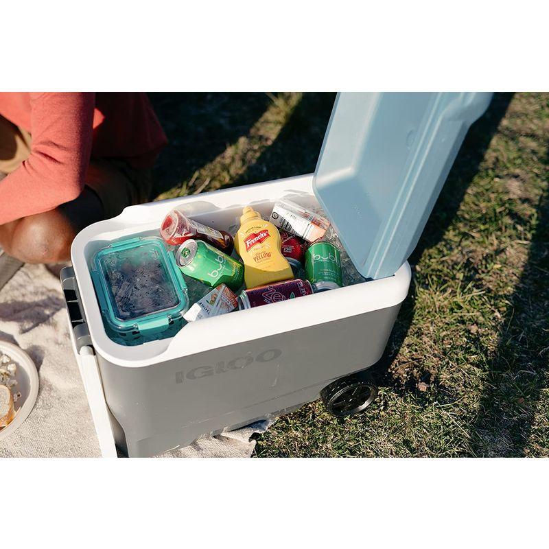 igloo(イグルー) クーラーボックス マックスコールド 40 (約38L) ローラー 00034687 アッシュグレー 約38L イグルー クーラーボックス マックスコールド ローラー アッシュグレー サイズ