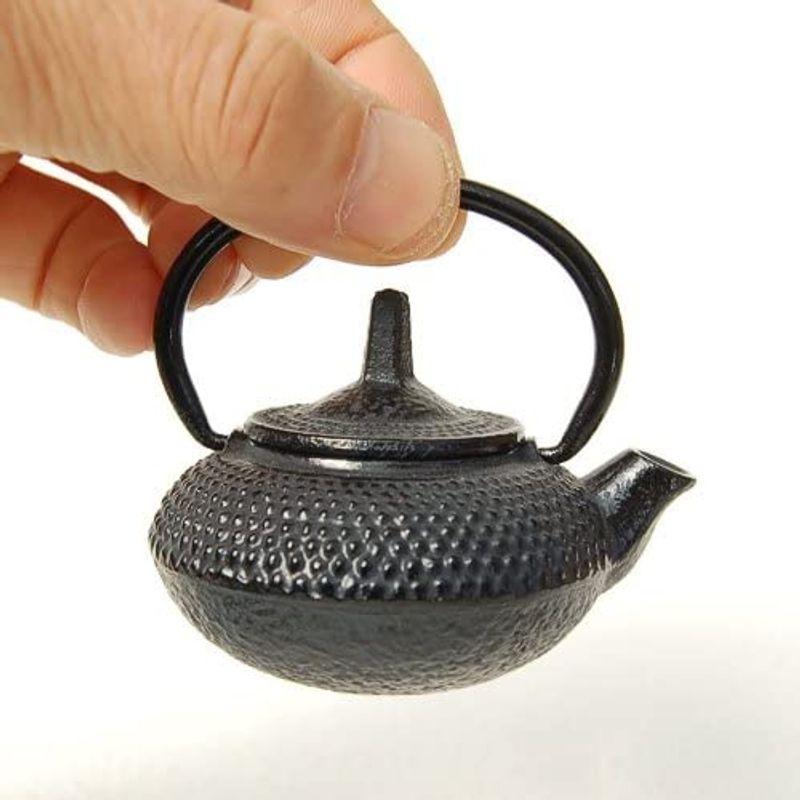 いよいよ人気ブランド南部鉄器 水差し あられ鉄瓶 サイズ 食器、グラス、カトラリー 南部鉄器 IRONCRAFT 急須 中尊寺 0.3L OH 442