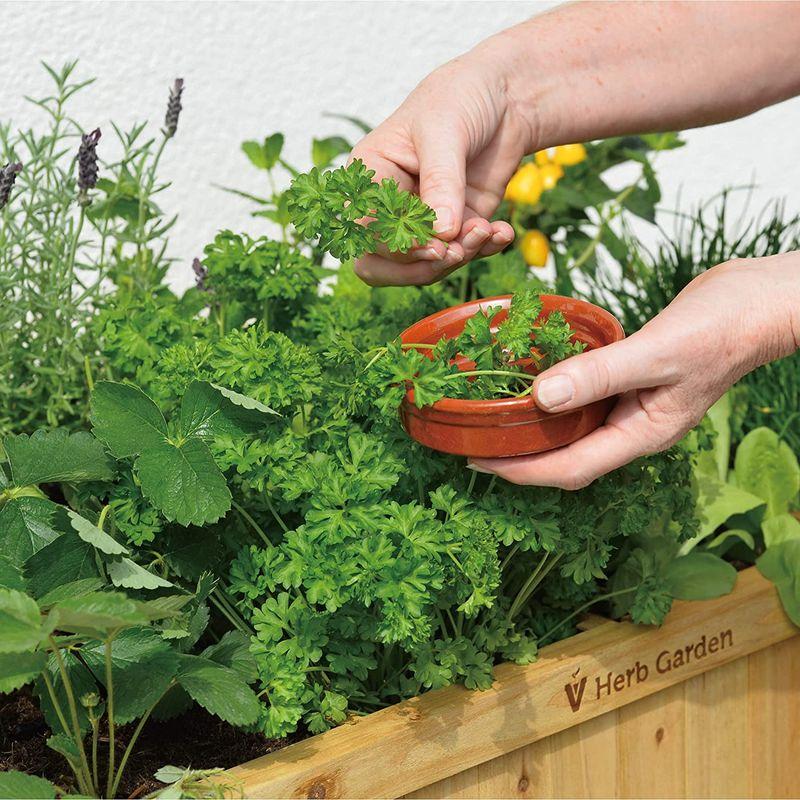 タカショー(Takasho) プランター レイズドベッド ハーブプランター WK-07F ナチュラル Takasho プランター レイズドベッド ハーブプランター WK 07F ナチュラル