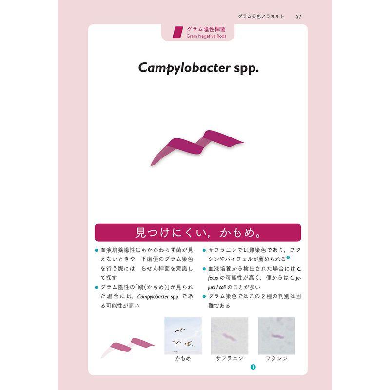 レジデントのための感染症診療マニュアル 第4版 第4版