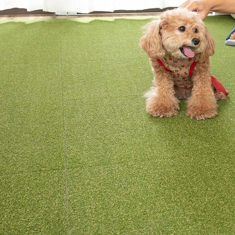 【最終】 グラムスタイル 人工芝 タイルカーペット 50x50cm 36枚セット(3畳分) 置くだけ カットできる 防炎 制電 低ホルムアルデヒド 夏 【4328994615】(22541円)