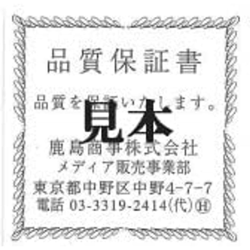 新入荷 KASHIMAK18ホワイトゴールド 大粒 1.0カラットサイズ キュービック ジルコニア 一粒石 ペンダント ネックレス 【2366658657】(12324円)