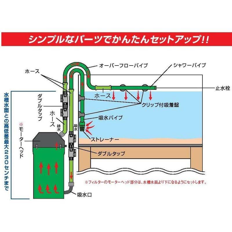 【希少品】 エーハイム クラシックフィルター 2217 ＮＥＷ 60Ｈｚ （西日本用） 【2630576021】(13699円)