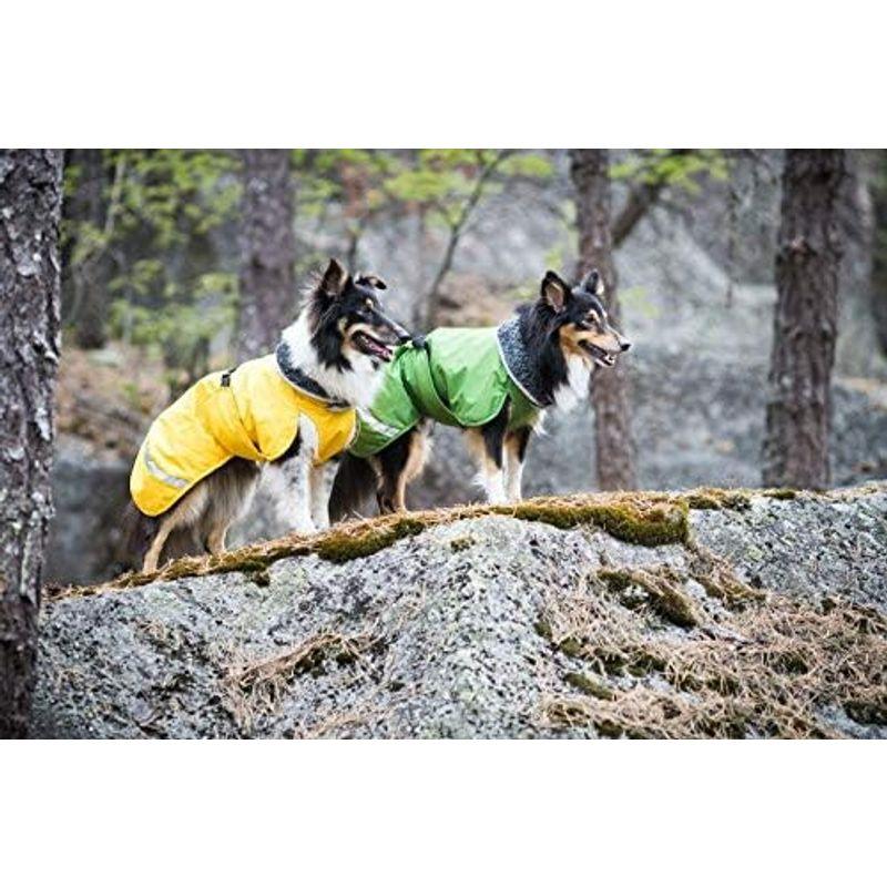 Pomppa(ポムッパ) ペルス ポムッパ グラファイト 犬用 65 ポムッパ ペルス グラファイト 犬用