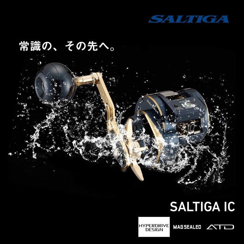 お値下げ ダイワ(DAIWA) 21 ソルティガIC 100P-DH 【Q9084311622】(32226円)