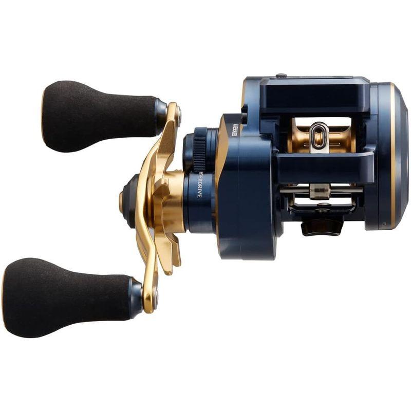 お値下げ ダイワ(DAIWA) 21 ソルティガIC 100P-DH 【Q9084311622】(32226円)