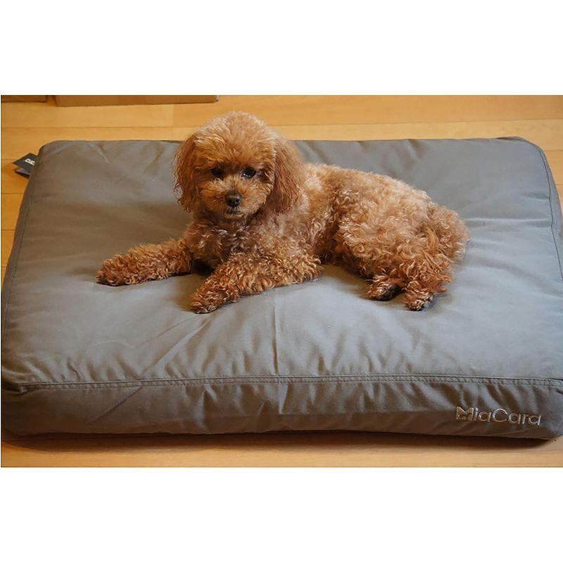 ミアカラ (MiaCara) Luvio (ルビオ)? ネイビーブルー Sサイズ MiaCara Luvio ルビオ ネイビーブルー Sサイズ