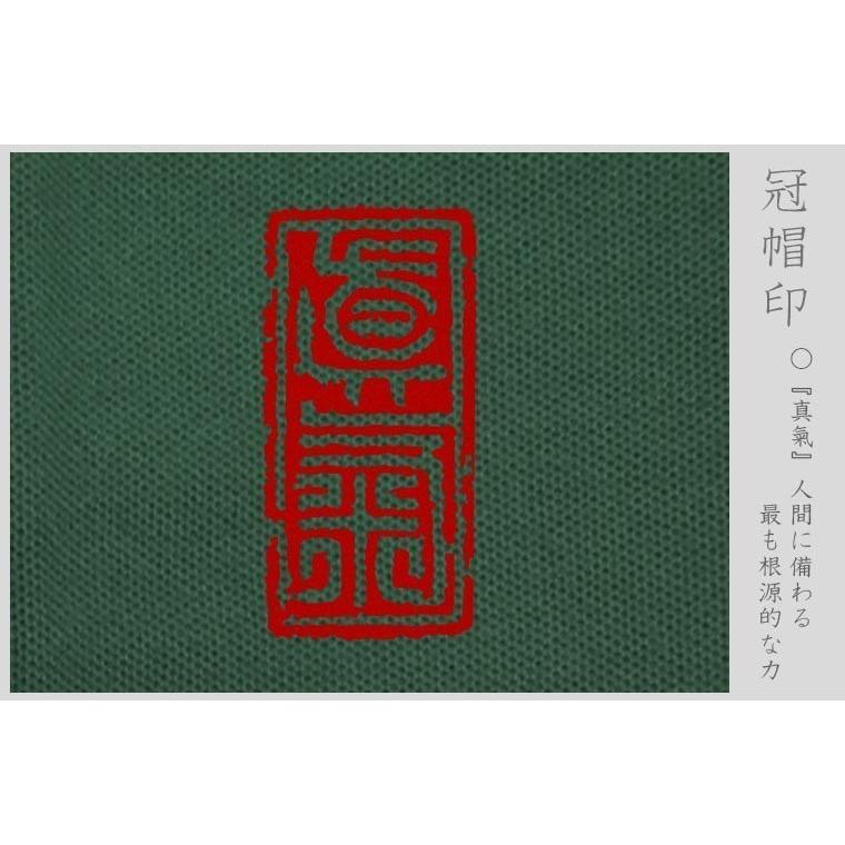 漢字ポロシャツ 龍 グリーン 4l Xxxl 和柄ポロシャツ 保障できる