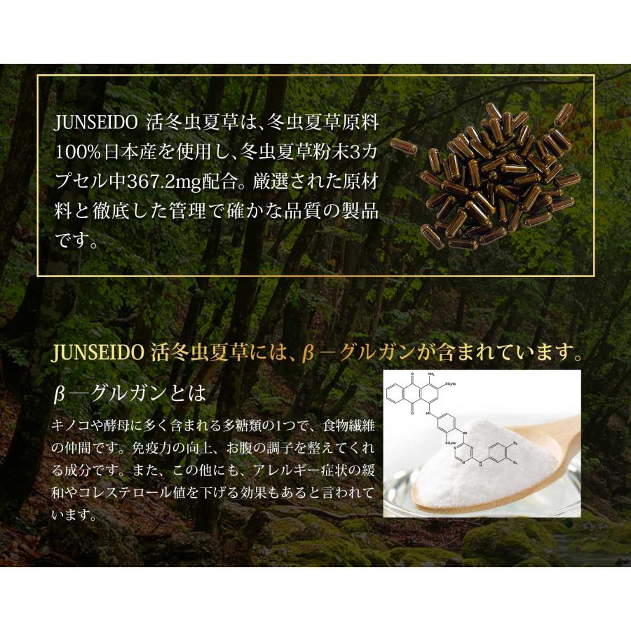 サプリメント 日本製 JUNSEIDO 潤生堂 活冬虫夏草 かつとうちゅうか