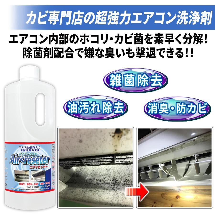 純閃堂 エアコン洗浄剤 エアリセッター 1kg 高濃度/業務用クラスの強力