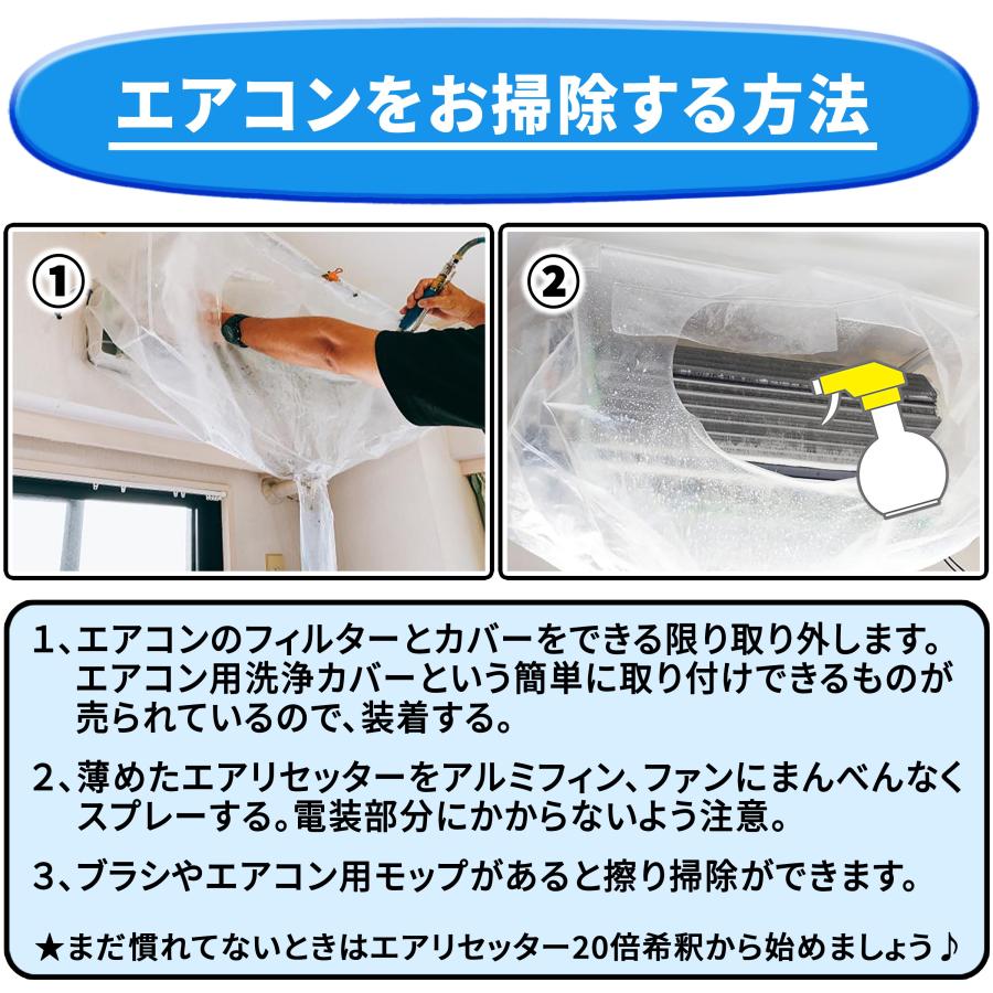 純閃堂 エアコン洗浄剤 エアリセッター 1kg 高濃度/業務用クラスの強力