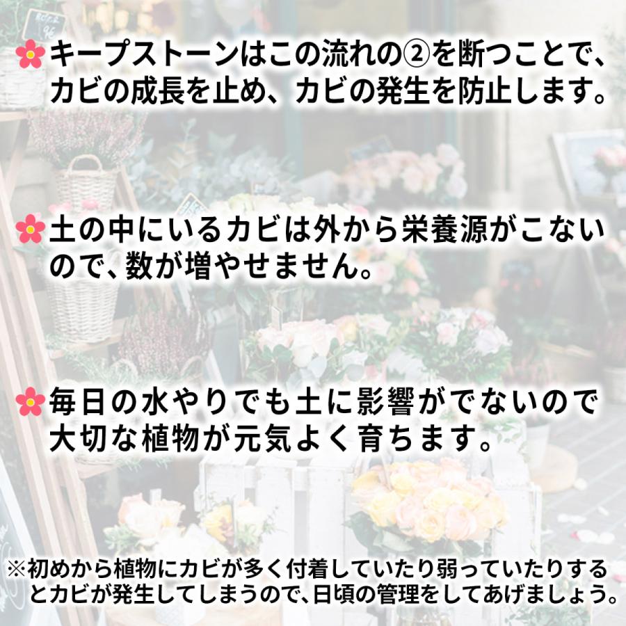 Keepstone キープストーン 2400g 大容量 防カビ化粧石 観葉植物 カビ防止 化粧石 本格的な防カビ剤 防虫剤を浸透させた業界初の化粧石 化粧砂利 B S2400 B S2400 純閃堂yahoo 店 通販 Yahoo ショッピング