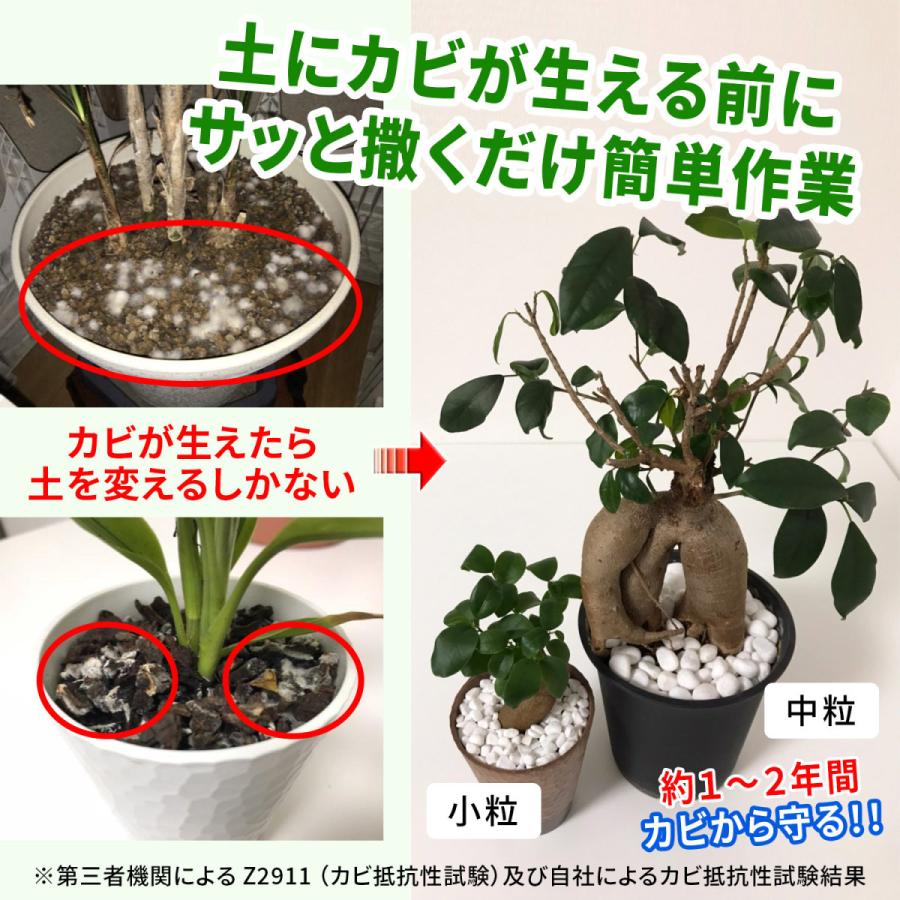 Keepstone キープストーン 2400g 大容量 防カビ化粧石 観葉植物 カビ防止 化粧石 本格的な防カビ剤 防虫剤を浸透させた業界初の化粧石 化粧砂利 B S2400 B S2400 純閃堂yahoo 店 通販 Yahoo ショッピング