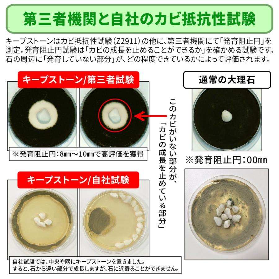 Keepstone キープストーン 400g 防カビ化粧石 防カビ 観葉植物のカビを防止する防カビ剤を浸透させた大理石の化粧石 化粧砂利 虫予防 カビ予防 B S400 B S400 純閃堂yahoo 店 通販 Yahoo ショッピング
