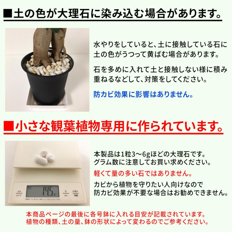 Keepstone キープストーン 400g 防カビ化粧石 防カビ 観葉植物のカビを防止する防カビ剤を浸透させた大理石の化粧石 化粧砂利 虫予防 カビ予防 B S400 B S400 純閃堂yahoo 店 通販 Yahoo ショッピング