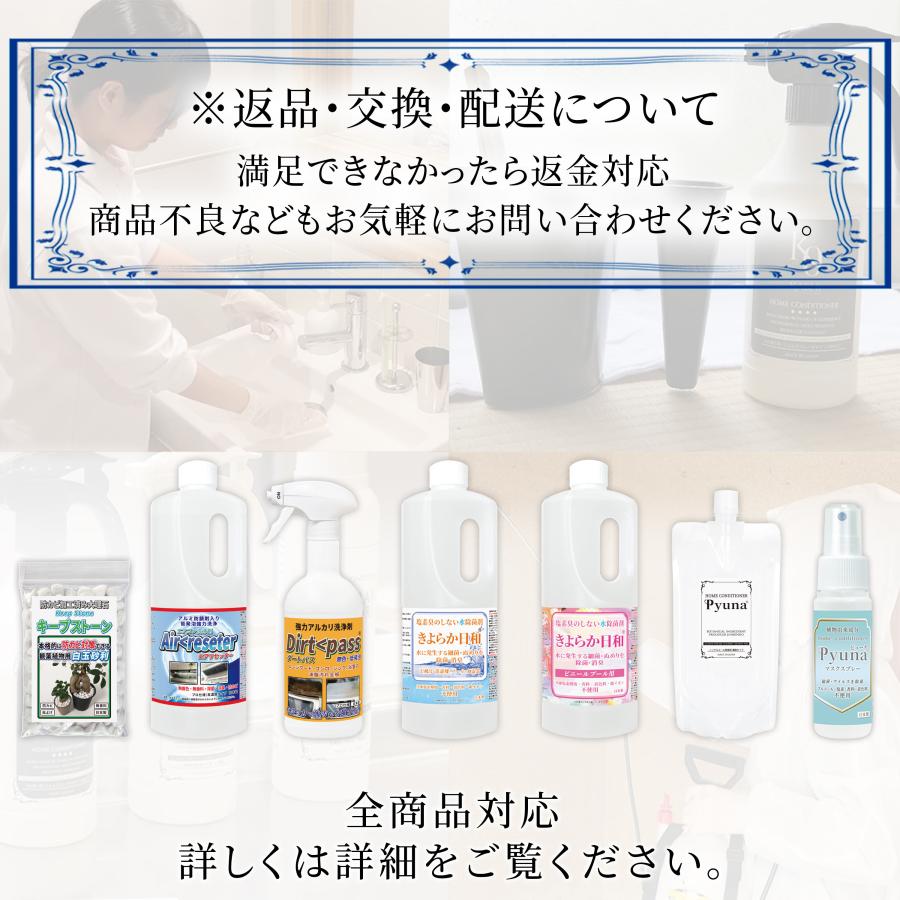 純閃堂 強力 油脂洗浄剤 ダートパス 5kg 大容量/ 浴室 台所 トイレ