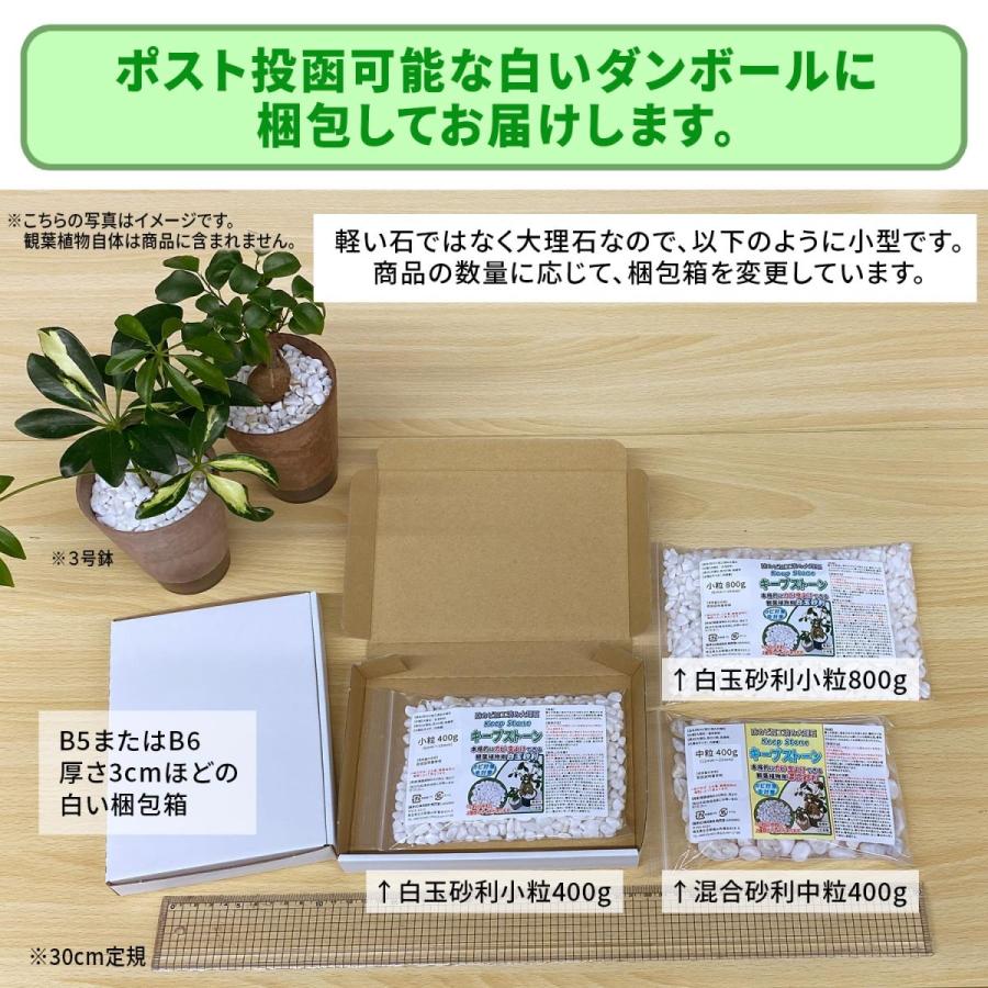 店舗 激安 植物 観葉植物用 防カビ剤入り化粧石 Keep Stone キープストーン 4800g 白 大理石の化粧砂利 カビ 防止 K S4800 割引中 Www Satpolpp Sukabumikab Go Id