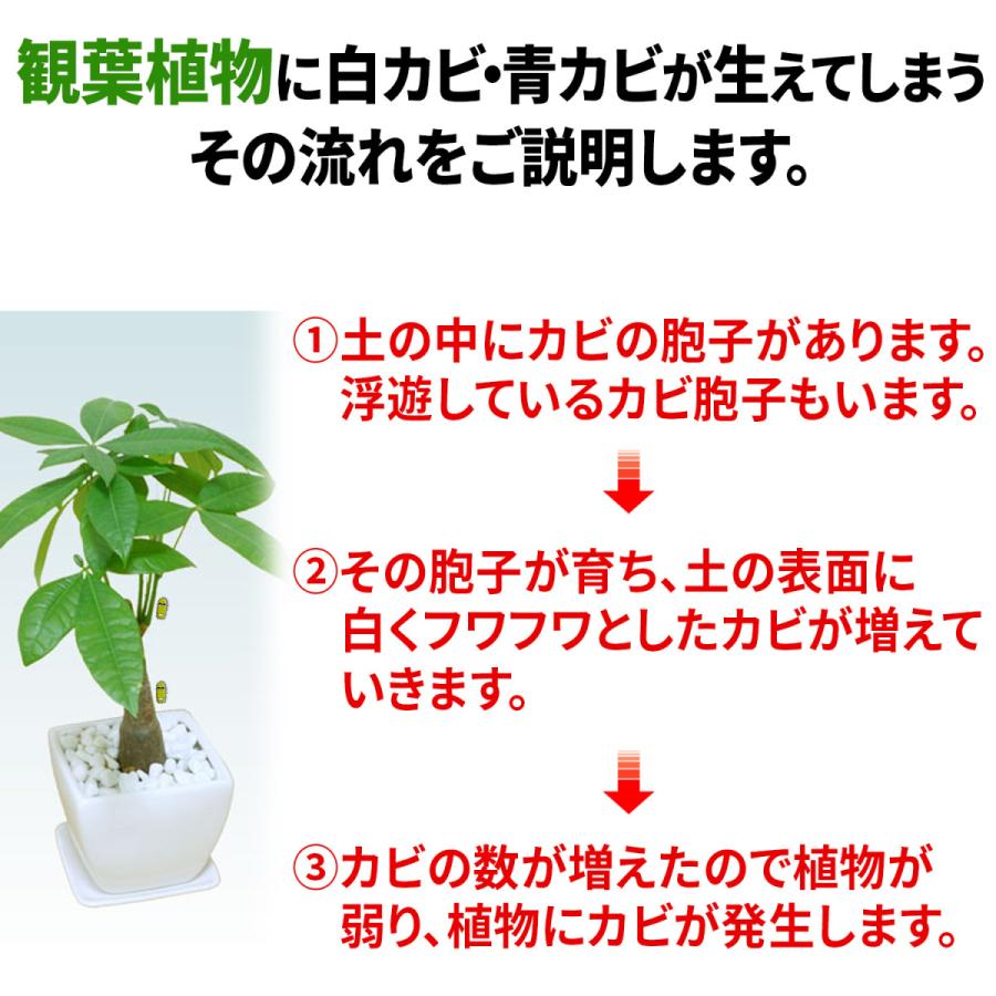 防カビ加工済み大理石 キープストーン 白玉砂利 中粒 4800g B S4800w 植物 観葉植物の土のカビ防止 植木鉢の白カビを対策してカビ予防と虫よけに ホワイト K S4800 純閃堂yahoo 店 通販 Yahoo ショッピング