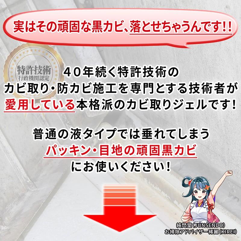 カビ取り侍 ジェルタイプ 0g カビ カビ取り お風呂 浴室のパッキン ゴムパッキン タイル目地 窓枠 キッチン サッシ シーラント Kz J0 Kb Jr0 純閃堂yahoo 店 通販 Yahoo ショッピング