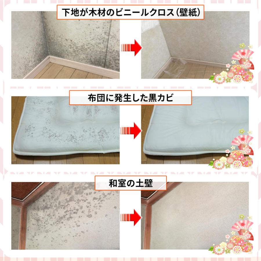 カビ取り侍 液スプレー 標準タイプ 500g カビ カビ取り カビ取り剤 お風呂 布団マットレス カーテン 衣類 Kz Ls500 Kb L3 純閃堂yahoo 店 通販 Yahoo ショッピング