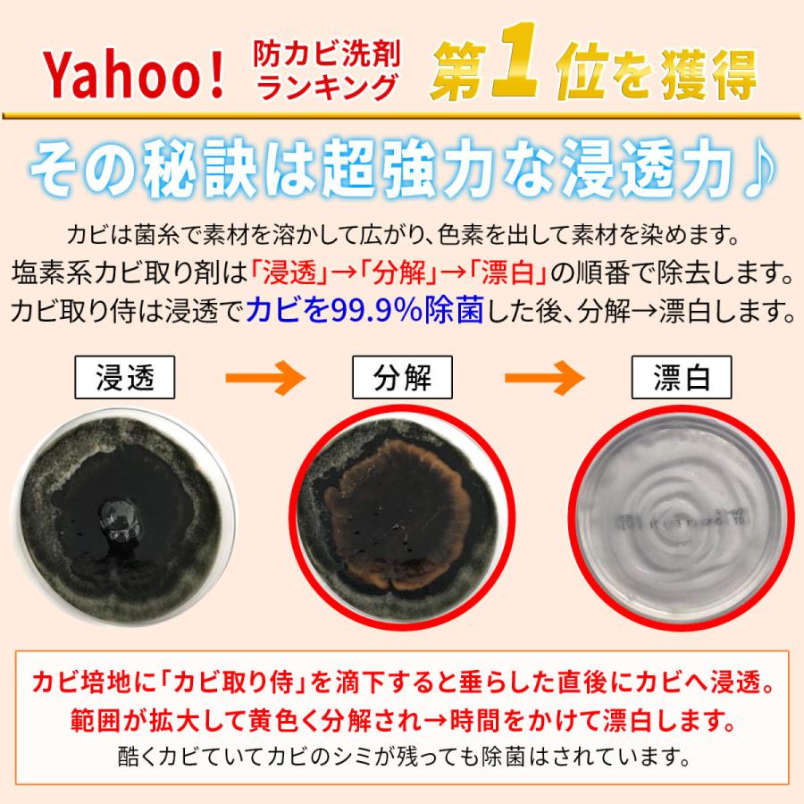 カビ取り侍 液スプレー 標準タイプ 500g カビ カビ取り カビ取り剤 お風呂 布団マットレス カーテン 衣類 KZ-LS500｜junsendo｜06