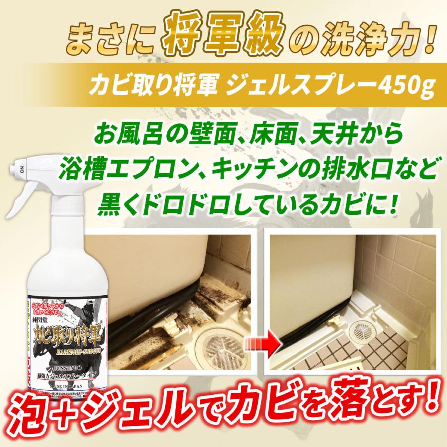 カビ取り将軍 ジェルスプレー 450g カビ カビ取り 超強力タイプ お風呂 風呂の壁 床 パッキン タイル目地に密着して黒カビを強力除去 Kg J350 Kb Ljs350 純閃堂yahoo 店 通販 Yahoo ショッピング