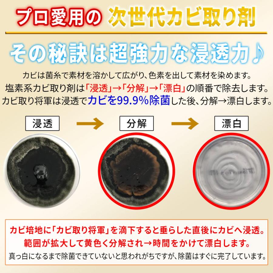 無限大 放棄する 検閲 壁 床タイルの目地カビ モーター 発明する 弁護人