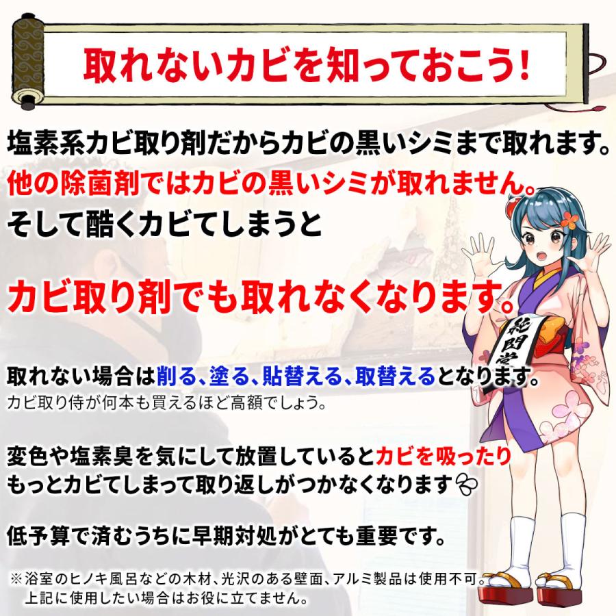 カビ取り将軍 ジェルスプレー 450g カビ カビ取り 超強力タイプ お風呂 風呂の壁 床 パッキン タイル目地に密着して黒カビを強力除去 KG-J350｜junsendo｜09