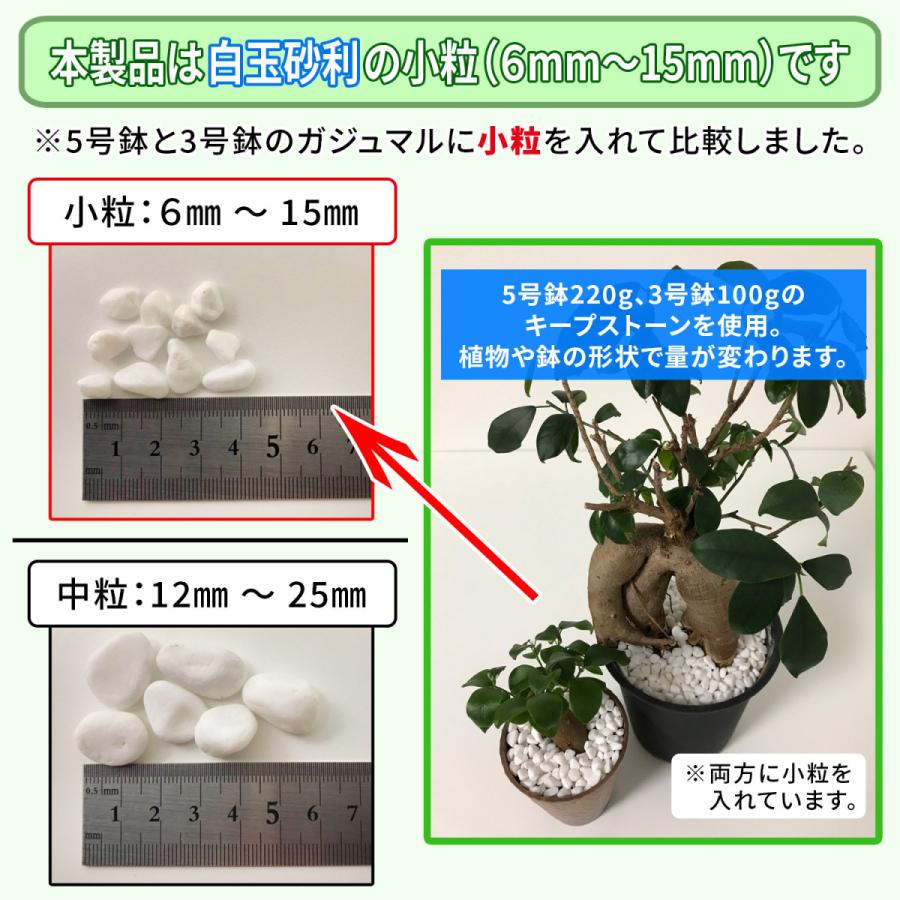 格安 防カビ加工済み大理石 キープストーン 白玉砂利 小粒 400g Ksc04 W 植物 観葉植物の土のカビ防止 植木鉢の白カビを対策してカビ予防と虫よけに ホワイト Rmladv Com Br