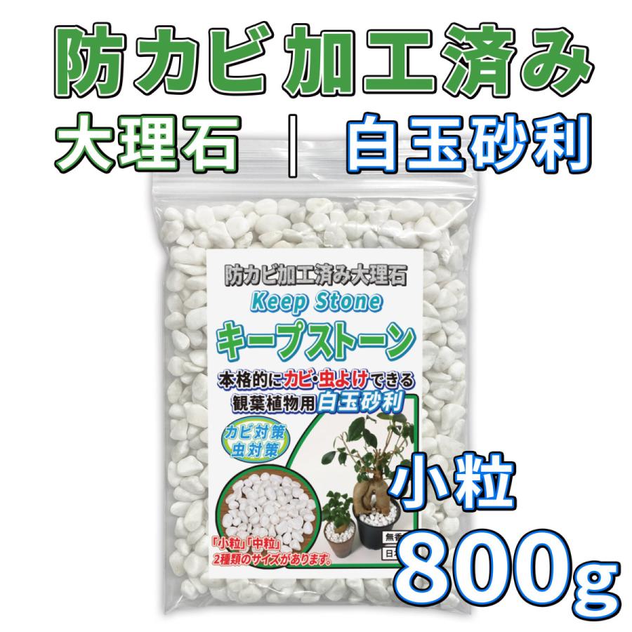 495円 激安な 防カビ加工済み大理石 キープストーン 白玉砂利 小粒 800g Ksc08 W 植物 観葉植物の土のカビ防止 植木鉢の白カビを対策して カビ予防と虫よけに ホワイト