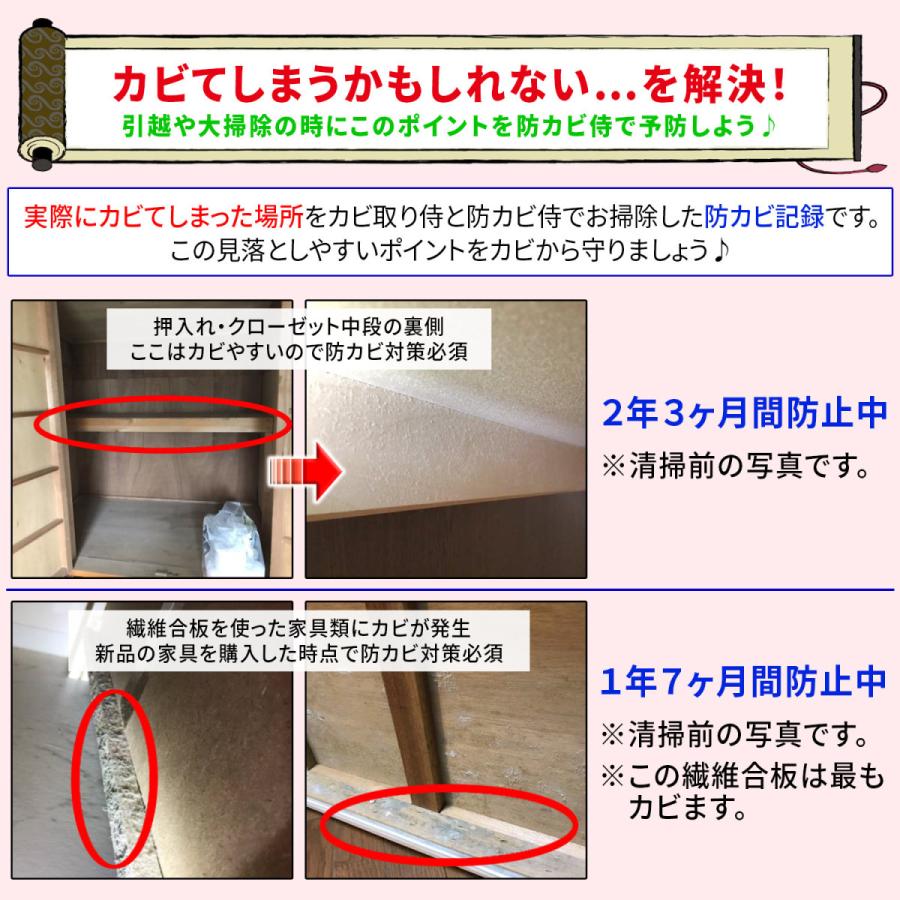 カビ 防カビ侍 アルコールタイプ 350ml /強力な防カビ剤で風呂や部屋の壁紙 木材 畳 布団 衣類 押入れ マットレス カーテン エアコンを楽にカビ防止/BZ-Y350｜junsendo｜17