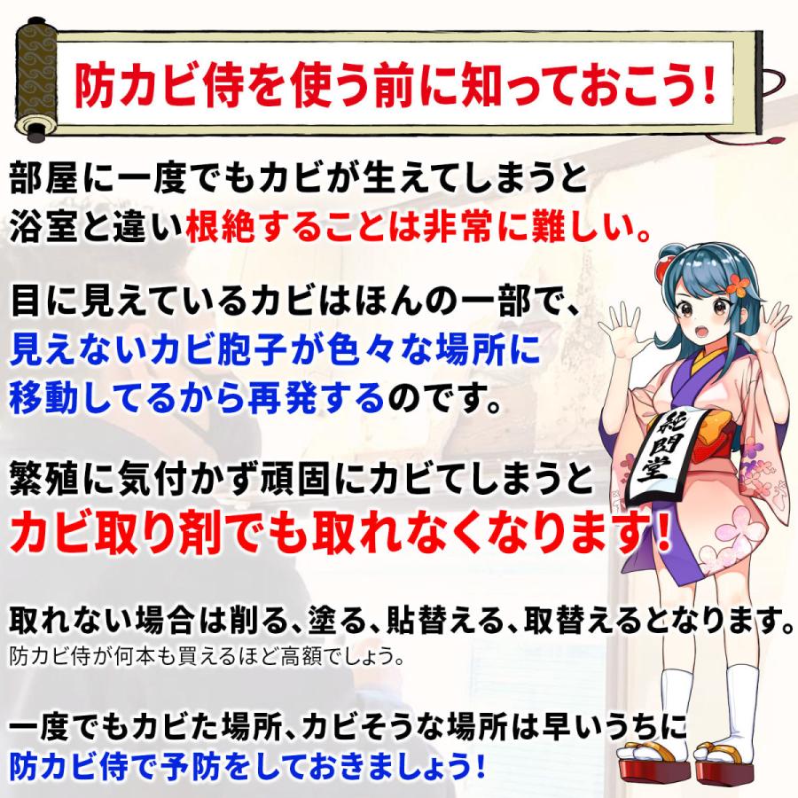 カビ 防カビ侍 アルコールタイプ 350ml /強力な防カビ剤で風呂や部屋の壁紙 木材 畳 布団 衣類 押入れ マットレス カーテン エアコンを楽にカビ防止/BZ-Y350｜junsendo｜10