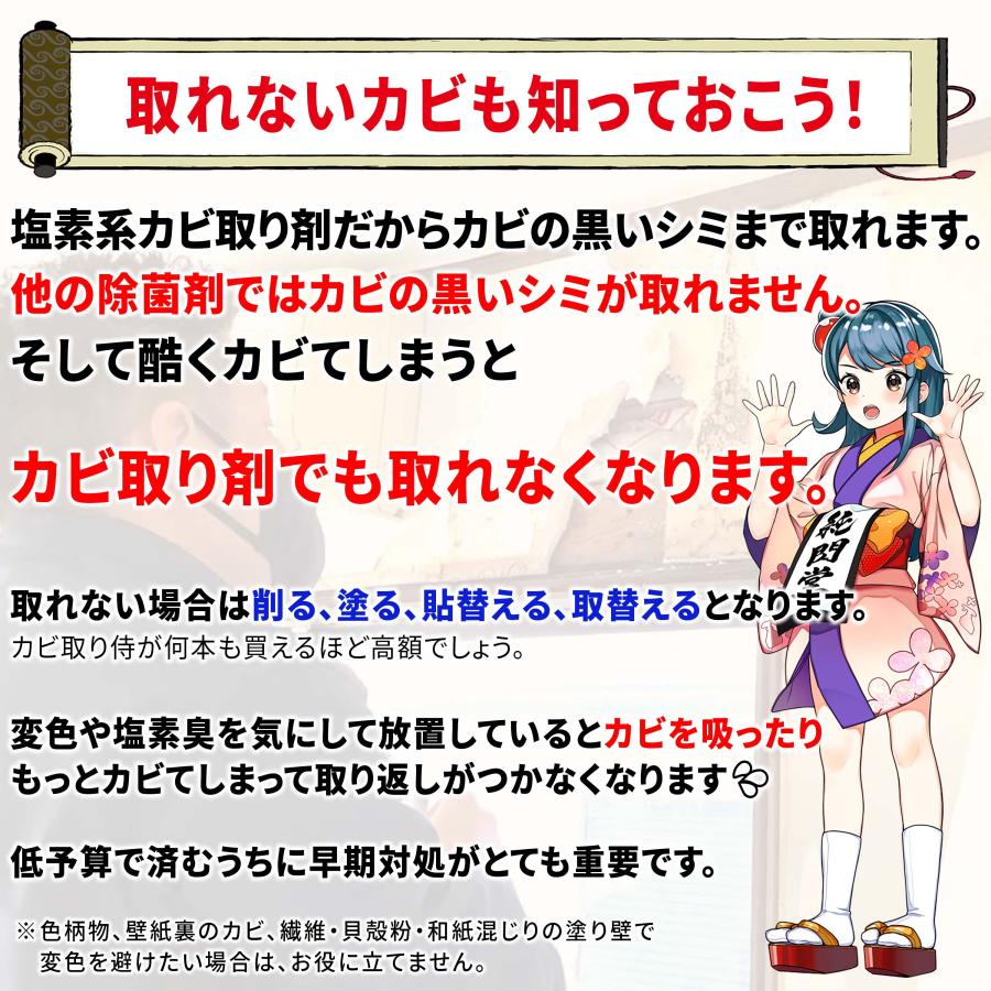 カビ取り侍 液スプレー 強力タイプ 500g 強力タイプ カビ カビ取り カビ取り剤 お風呂 壁紙 クロス 土壁 珪藻土 キッチン トイレ 外壁 エアコン KZ-L500P | 純閃堂 | 07