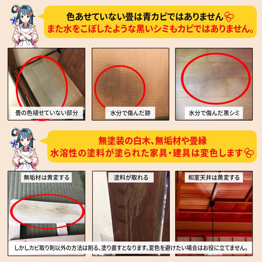 純閃堂 カビ取り侍 液スプレー 500g 木材・畳用 ソフトタイプ 部屋の