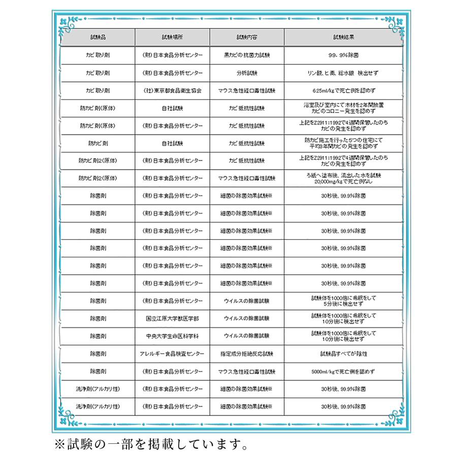 純閃堂 カビ 大掃除 侍セット /カビ取り侍液スプレー標準タイプ