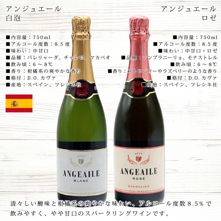 名入れ ワイン ギフト プレゼント シャンパン スパークリング 名入れ ワイン ギフト プレゼント シャンパン スパークリング