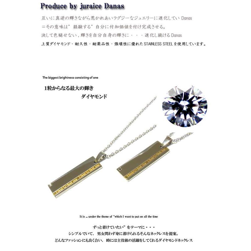 驚きの安さ ダナスペアダイヤモンドネックレス ペアdanasステンレスネックレス 年度末 Sale 人気ブランド Secretoftheislands Com