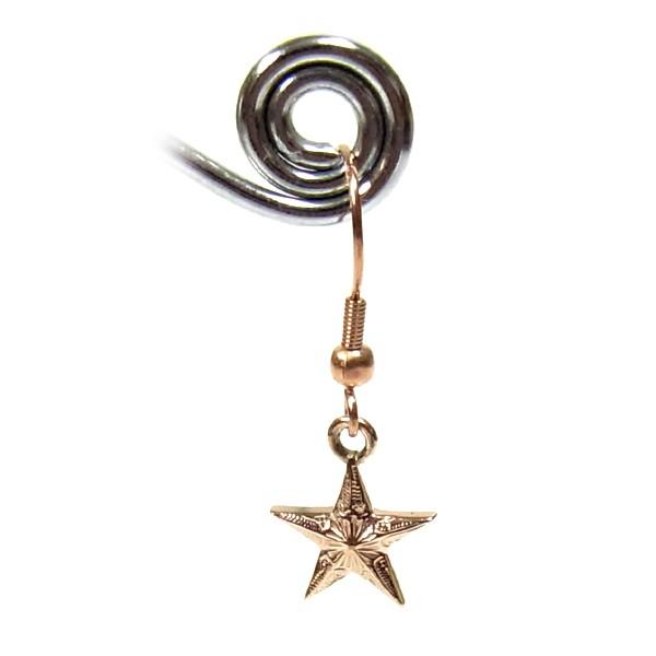 ハワイアンジュエリー ピアス スター レディース プレゼント 片耳 金属アレルギー対応 サージカル ステンレス  星 | ハワイアンジュエリー | 05