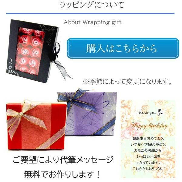 ハワイアンジュエリー ステンレス ネックレス レ シルバー ゴールド SUN 太陽 マーク サークル 丸 コイン 波 スクロール 金属アレルギー対応  サージカルの画像