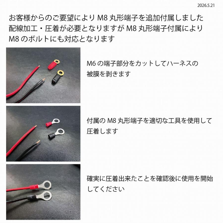 CTEK（シーテック） コネクションリード互換ケーブル ヒューズ付 2m M6