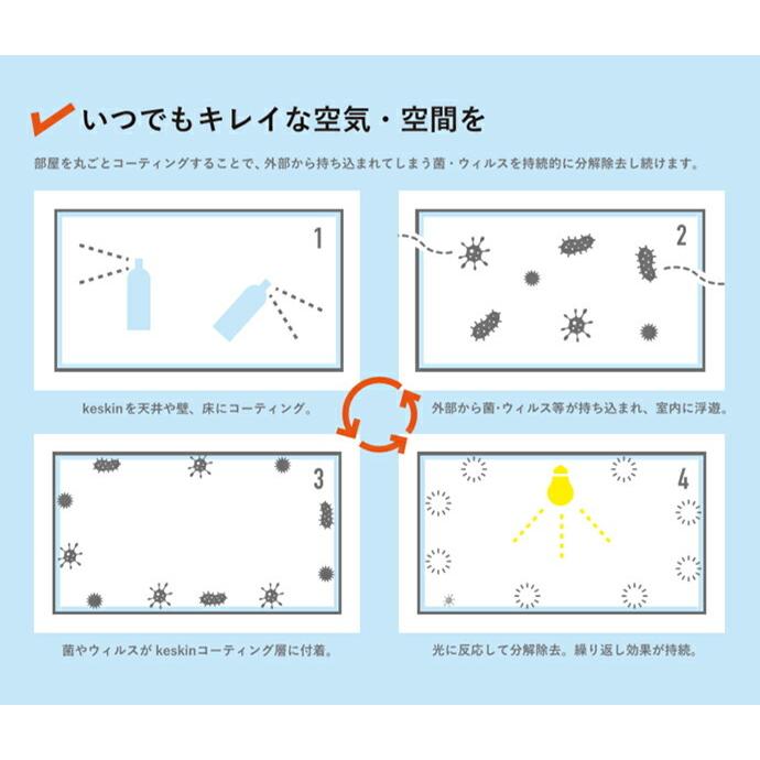 接触抗菌スプレー keskin ケスキン 1本 エアゾール缶 除菌 抗菌 消臭