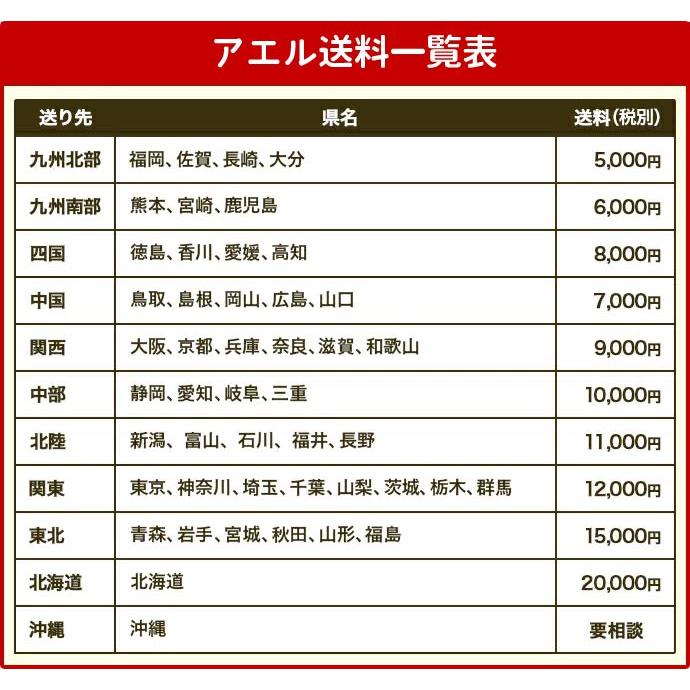 アエル流し台製作所 ステンレス 公団型流し台 SK-1800 1800幅 アエル流し台製作所 ステンレス 公団型流し台 SK-1800 1800幅