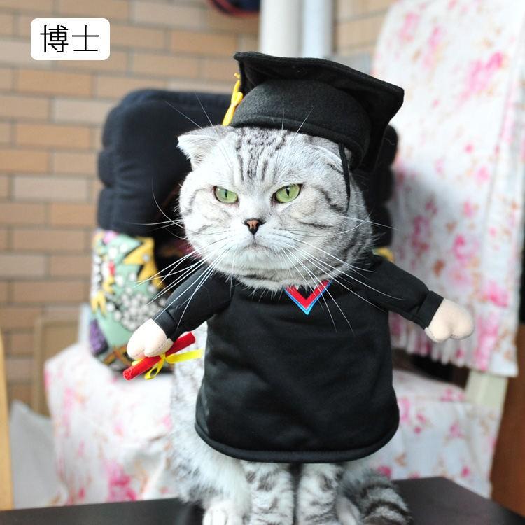 犬服 猫服 犬用 ネコ猫用 服 コスプレ 仮装 洋服 おもしろい 子猫 変身 着ぐるみ ペット服 ねこ 犬用 直立 コスチューム ネコ いぬ かわいい ウェア Kasin 1 Just For You Online Store 通販 Yahoo ショッピング
