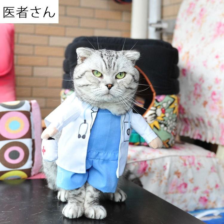 犬服 猫服 犬用 ネコ猫用 服 コスプレ 仮装 洋服 おもしろい 子猫 変身 着ぐるみ ペット服 ねこ 犬用 直立 コスチューム ネコ いぬ かわいい ウェア Kasin 1 Just For You Online Store 通販 Yahoo ショッピング