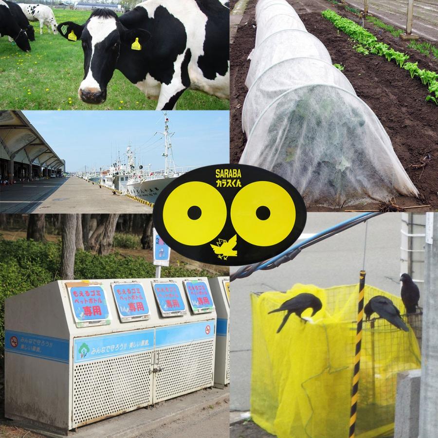 カラス 撃退 よけ 対策 グッズ 駆除 車 ゴミ箱 ボックス ベランダ