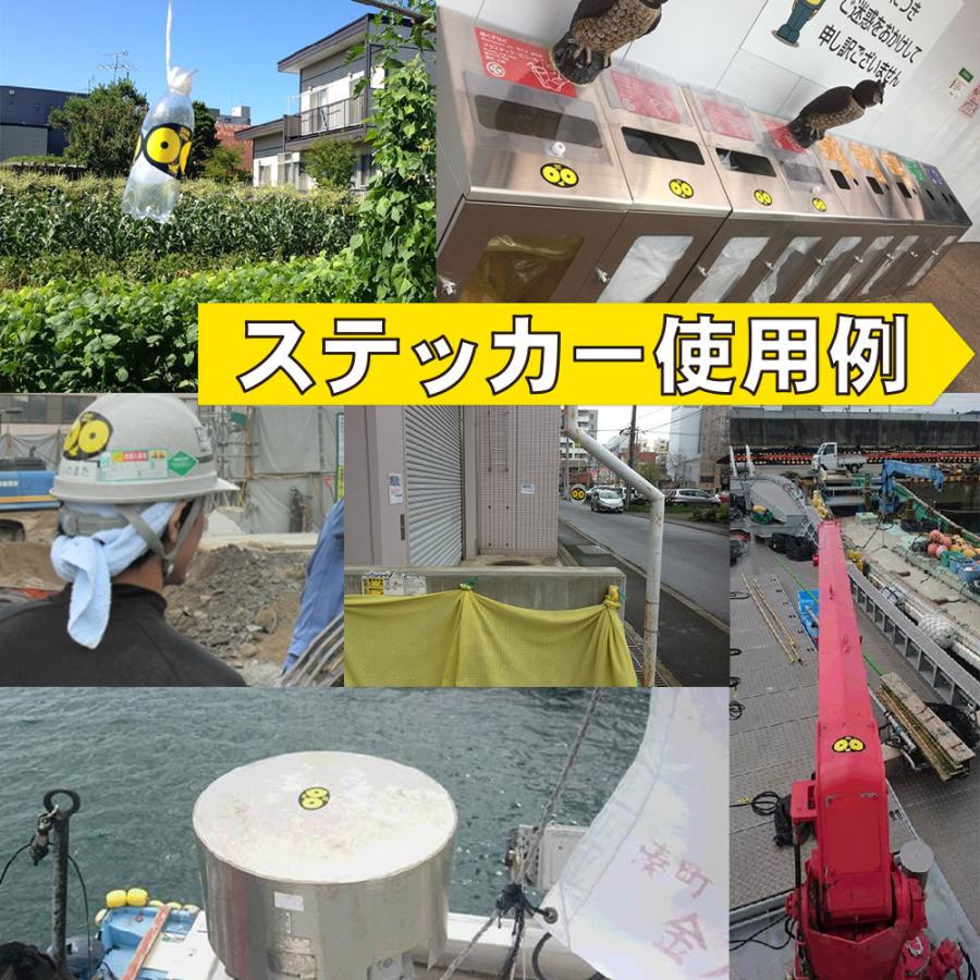 カラスよけ 対策 撃退 グッズ SARABAカラスくん ステッカー 2枚・CD2枚