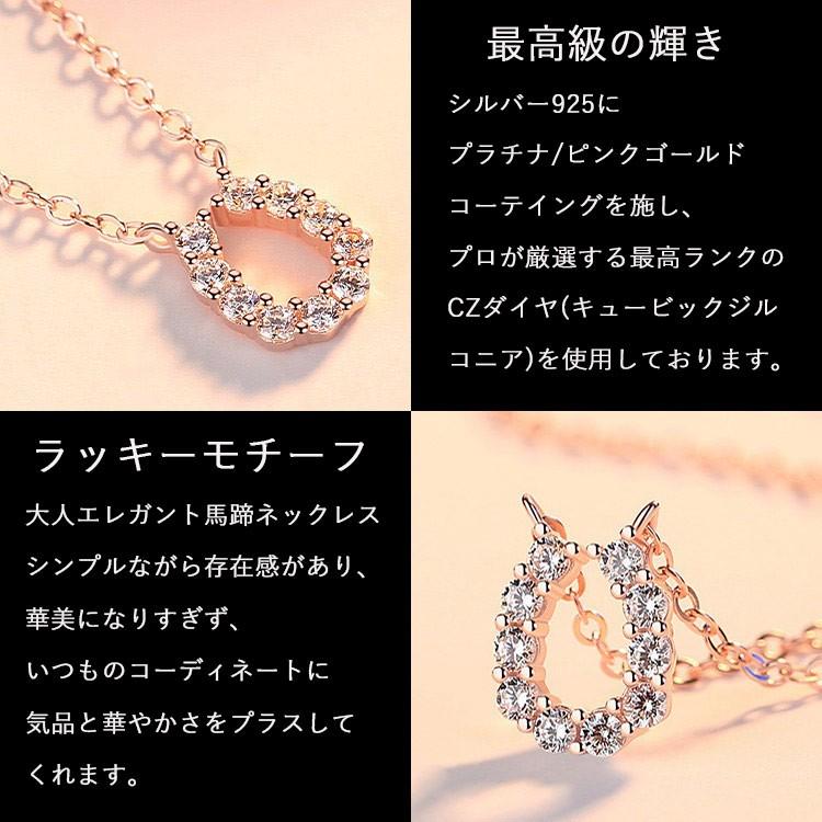 ネックレス レディース 豪華10粒 U型 馬蹄 ラッキーモチーフ プラチナ仕上げ シルバー925 CZダイヤ 女性 妻 人気 誕生日プレゼント バレンタイン ネックレス レディース 豪華10粒 U型 馬蹄 ラッキーモチーフ プラチナ仕上げ シルバー925 CZダイヤ 女性 妻 人気 誕生日プレゼント バレンタイン