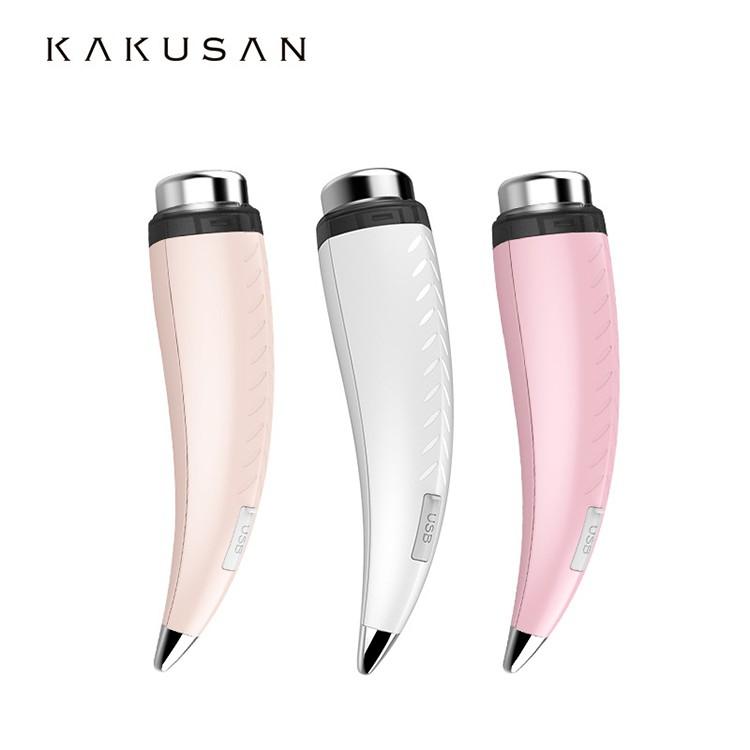 超音波 美顔器 イオン導入 ミニ フィスケア 超音波美顔器 ニキビ 毛穴