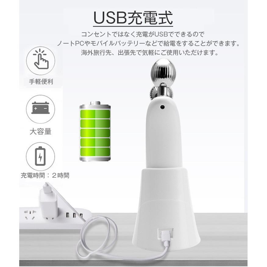 EMS美顔器 美顔ローラー マイクロカレント マッサージ ラジオ波 小顔